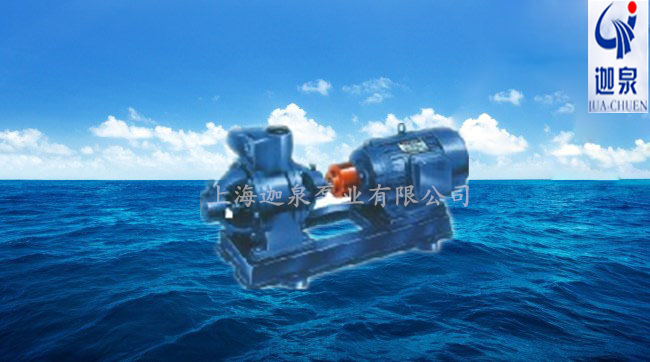 W型雙級漩渦泵